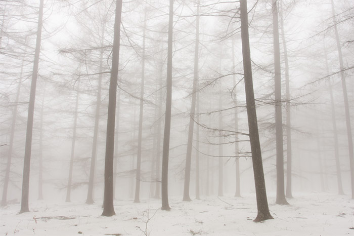 25 Stunning Winter Landscape Photos
