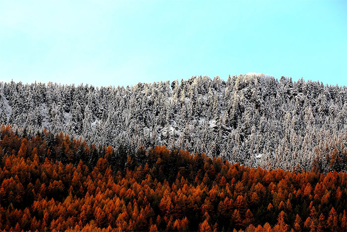 25 Stunning Winter Landscape Photos