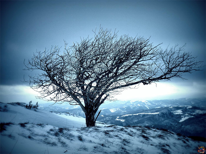 25 Stunning Winter Landscape Photos