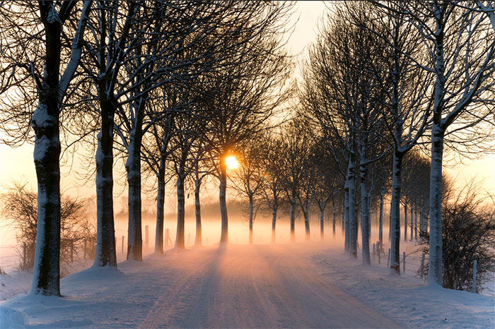 25 Stunning Winter Landscape Photos