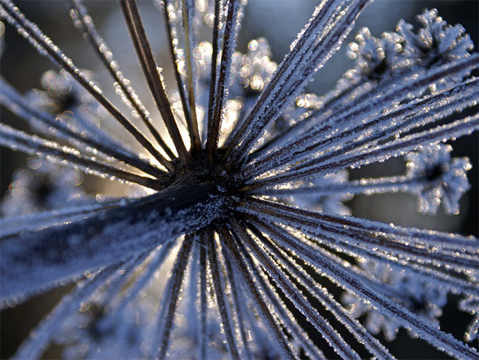 25 Stunning Winter Landscape Photos