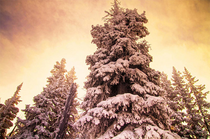 25 Stunning Winter Landscape Photos