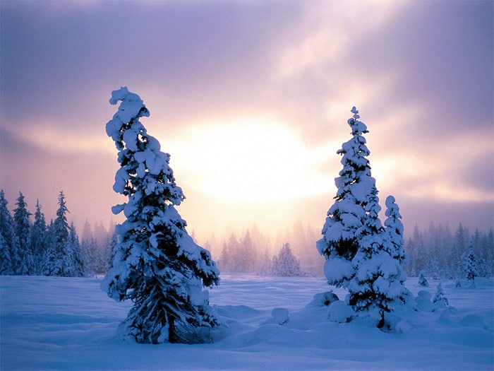25 Stunning Winter Landscape Photos