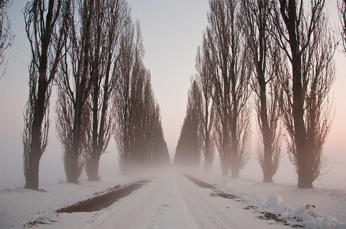 25 Stunning Winter Landscape Photos
