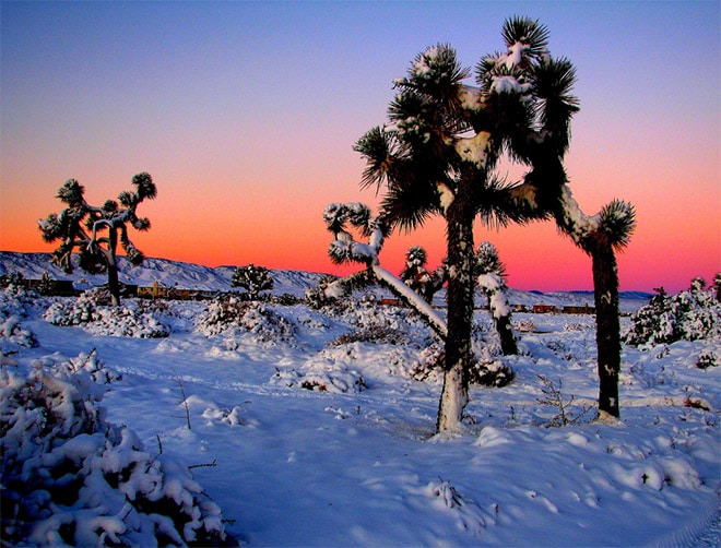Sunrise Photography: Make Your Images Sparkle & Shine