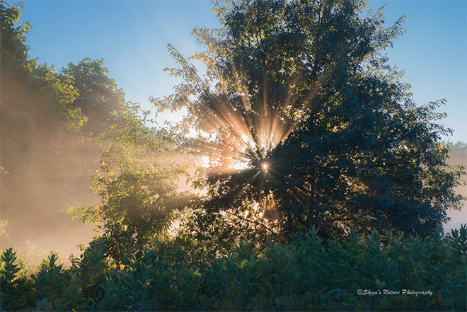 Sunrise Photography: Make Your Images Sparkle & Shine