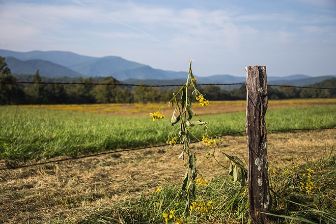 Photography Guide to Great Smoky Mountains National Park