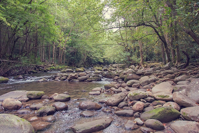 creek