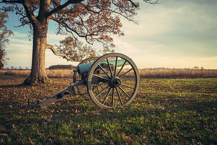 Cannon