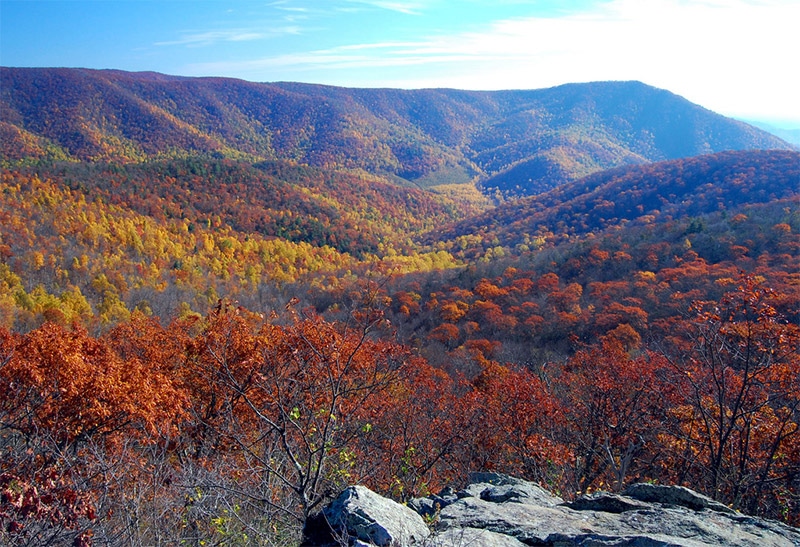 View from Bearfence Trail - photo by Mark Levisay / CC BY 2.0