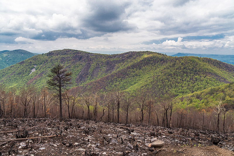 Brown Mountain Overlook - photo by Marc Andre