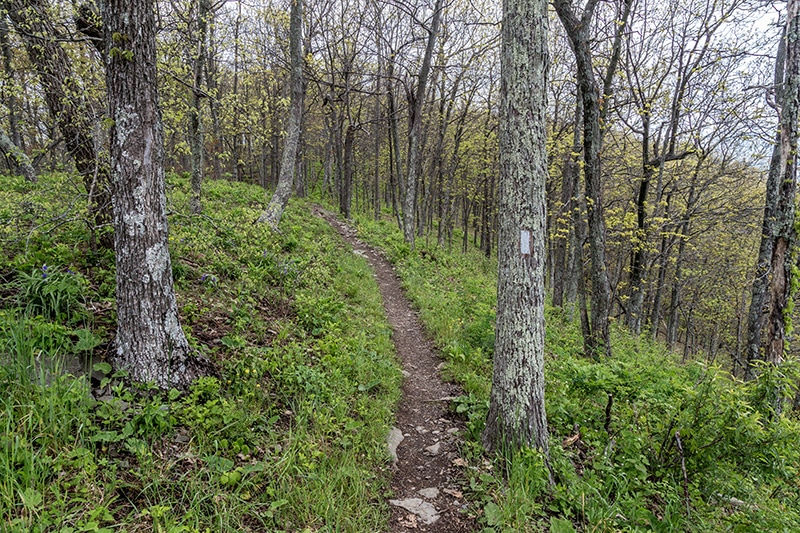 Near the Ivy Creek Overlook - by Marc Andre