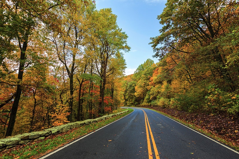Skyline Drive - photo by Shenandoah National Park