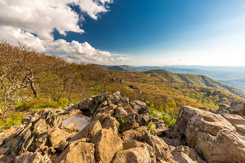 View from Stony Man Mountain - photo by Marc Andre