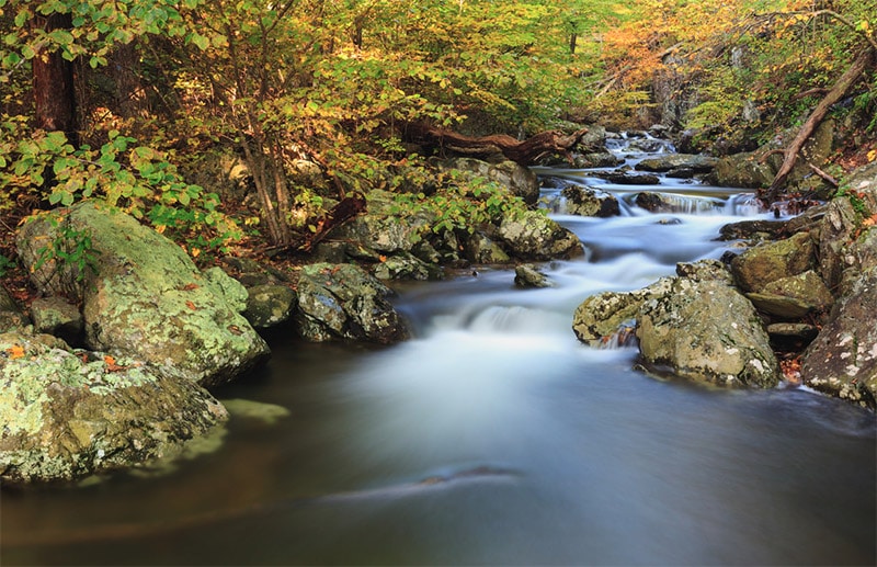 White Oak Canyon - photo by N. Lewis / CC BY 2.0