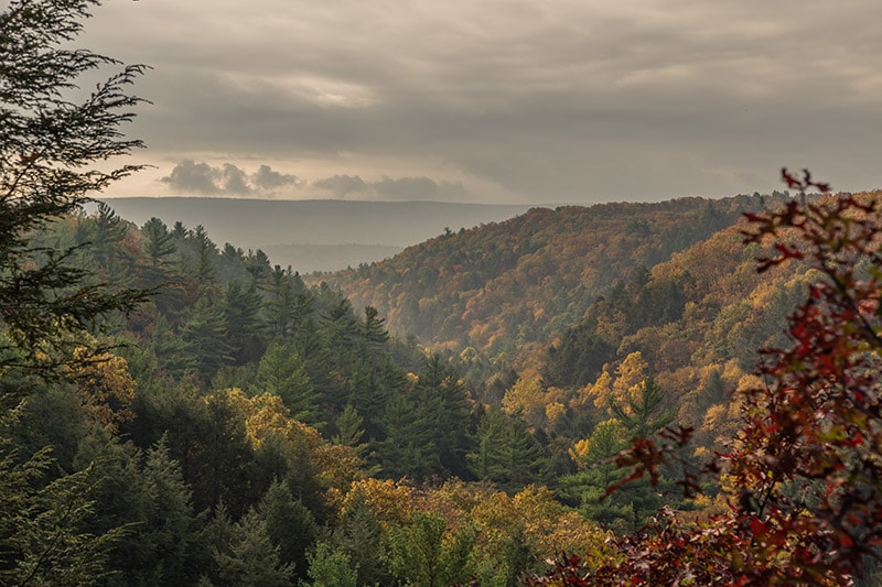 Photographing Bushkill Falls