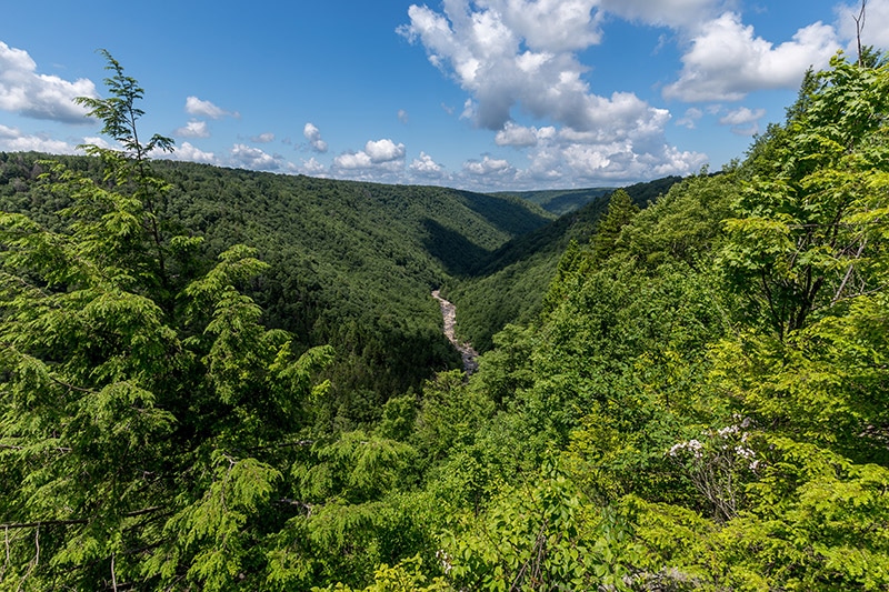 Photographing Blackwater Falls State Park - West Virginia