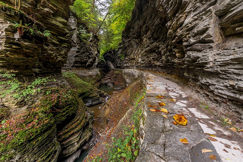 Guide to Photographing Watkins Glen State Park (New York)