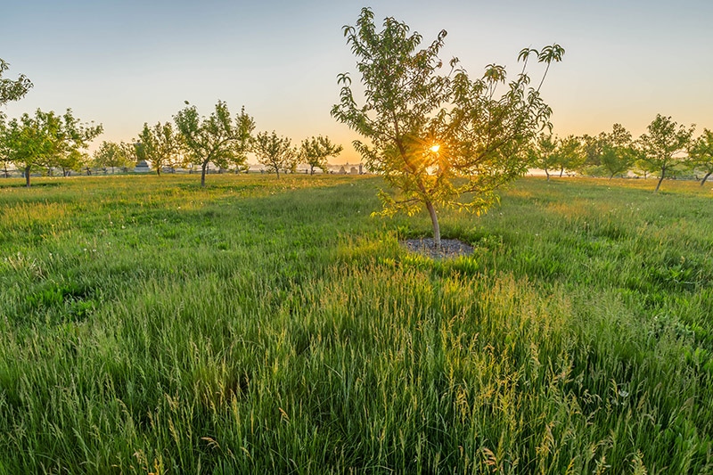 Gettysburg Photo Guide