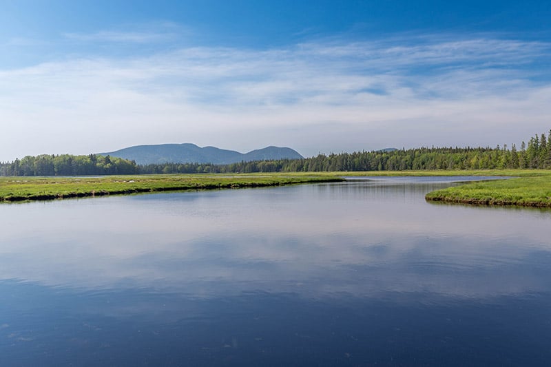 Bass Harbor Marsh